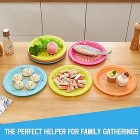 XPAPOV green plate holder provides sturdy support for meals.