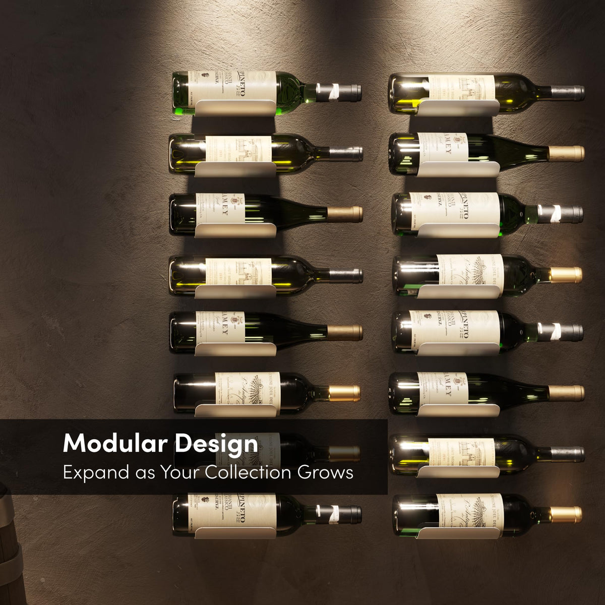 xympo stylish display elevates a wine collection while blending with contemporary decor