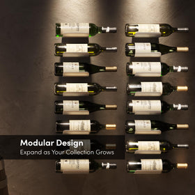 xympo stylish display elevates a wine collection while blending with contemporary decor