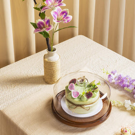 Yangbaga responsive support helps with questions and care guidance.