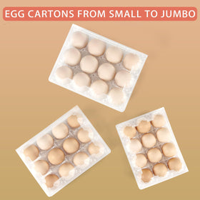 YIFIHGE easy transport of eggs with interior pillars for protection