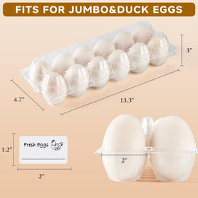 YIFIHGE interior view showing pillars and buckles for secure eggs.
