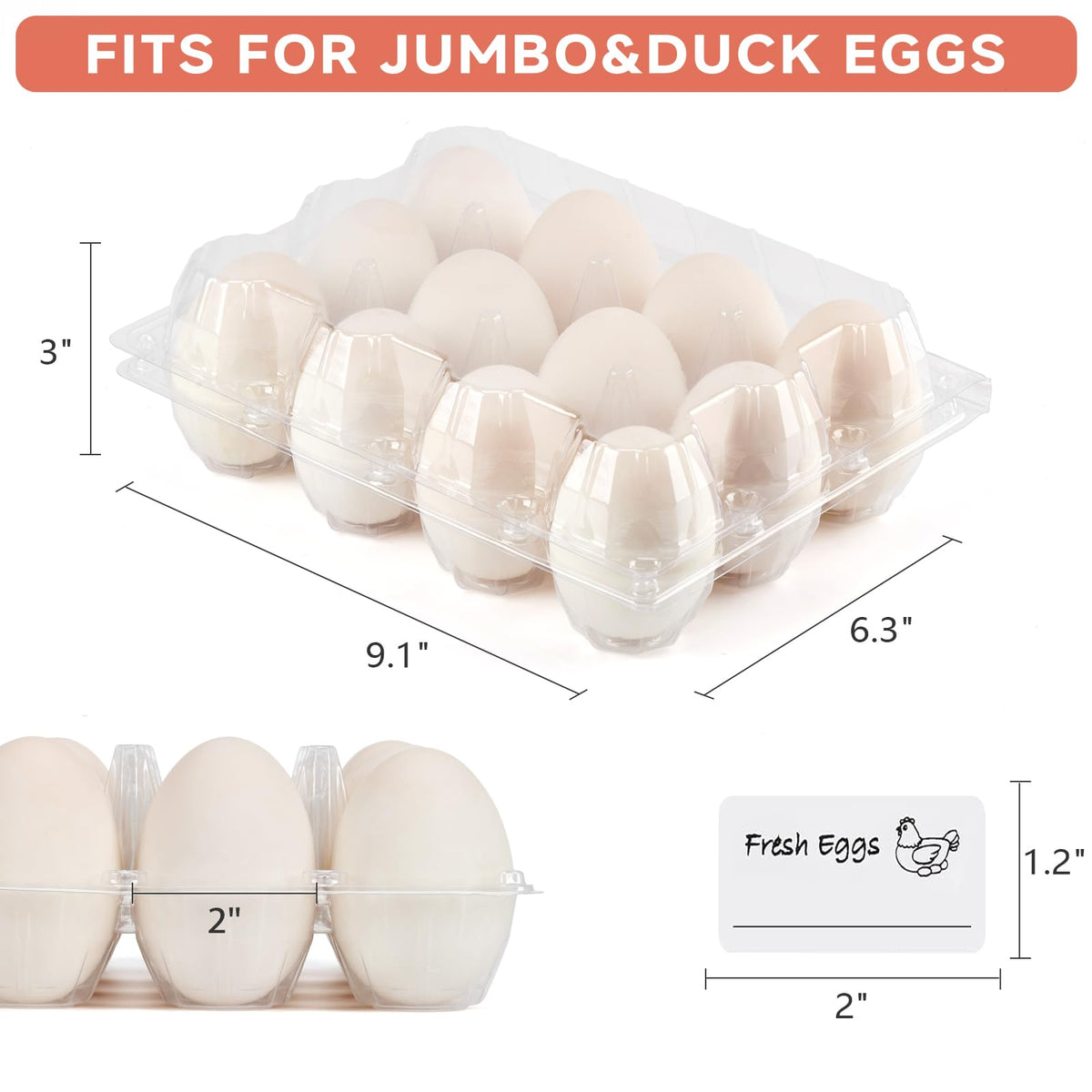 YIFIHGE recycled PET egg carton body highlighting durability