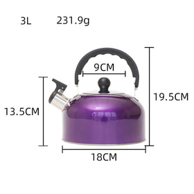 YIKANGHENG 3L tea kettle with steel body for durable everyday use