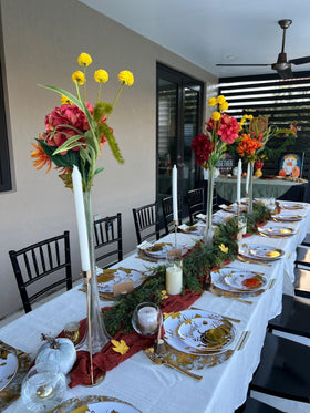 YLUSUJAKX versatile placemats coordinate with various tableware colors