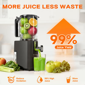 YOYDS 250W motor delivers steady, low-heat juicing for freshness.