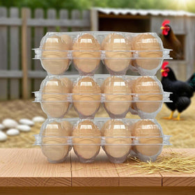 YSJFNVUI egg cartons with flat top ready for labeling and branding.