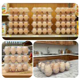 YSJFNVUI recycled PET egg cartons offer eco-friendly storage.