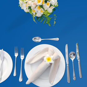 YSYJ royal blue party setup with tablecloth creates a polished look