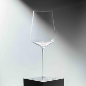 Zalto Denk'Art Universal glass safely going into the dishwasher.
