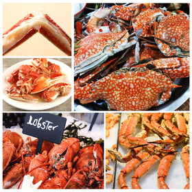 ZAUGONTW lobster opener with ergonomic handle for safe, comfortable grip.