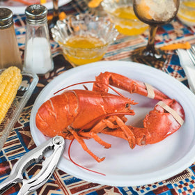 ZAUGONTW rustproof and dishwasher-safe seafood tools for easy cleanup.
