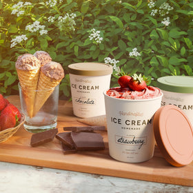 ZICOTO freezer-friendly container designed for sorbet frozen yogurt.