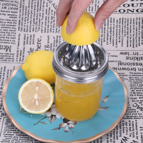 ziHenryDa stainless steel citrus reamer for lemon and lime juice