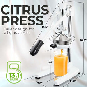 Zulay Kitchen Pulperizer detachable parts allow quick, dishwasher-safe cleaning.