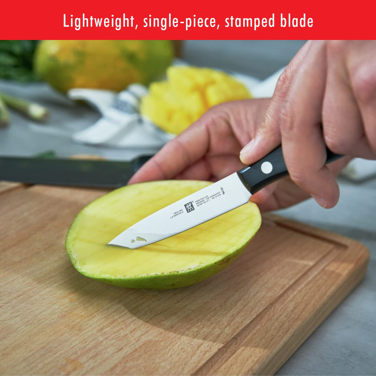 ZWILLING Twin Signature 4-inch paring knife full tang design for balanced control